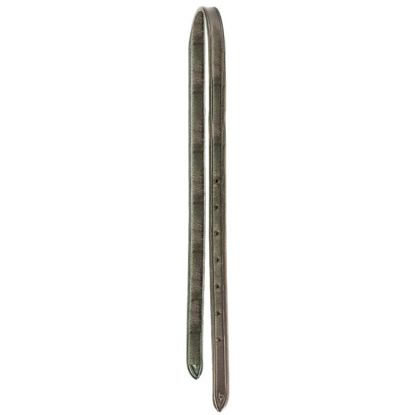 Cinturino