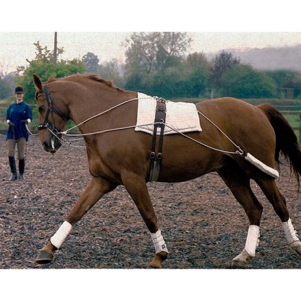 Training reins
