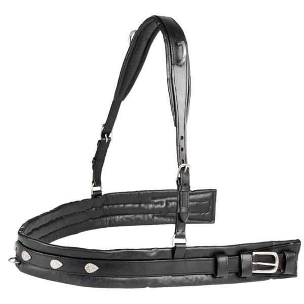 Collier de chasse