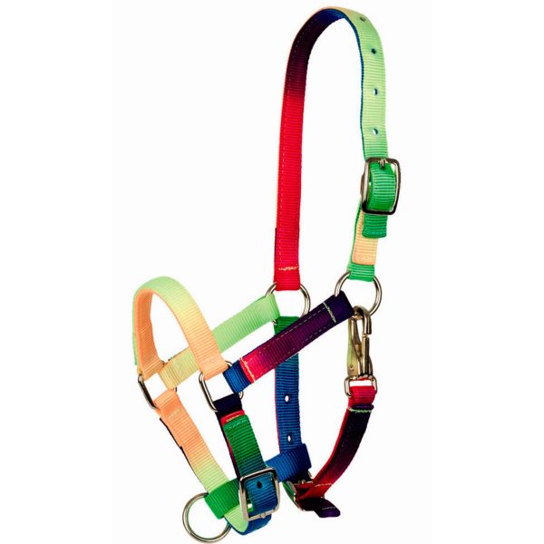 Capezza Tattini multicolore (puledro)