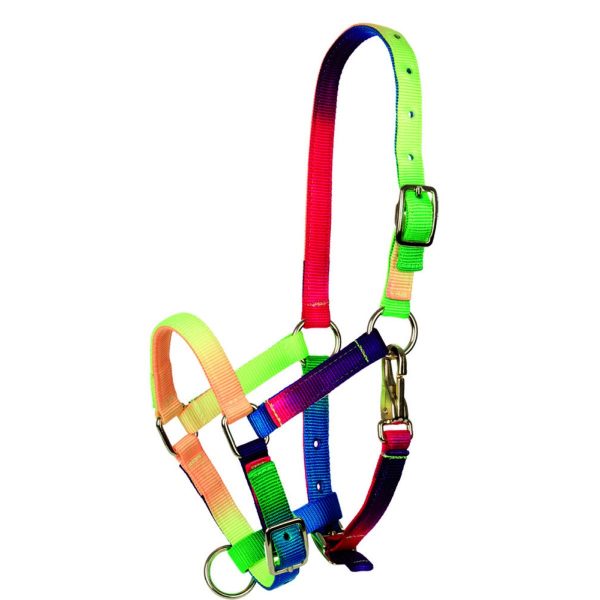 Capezza Tattini multicolore pony