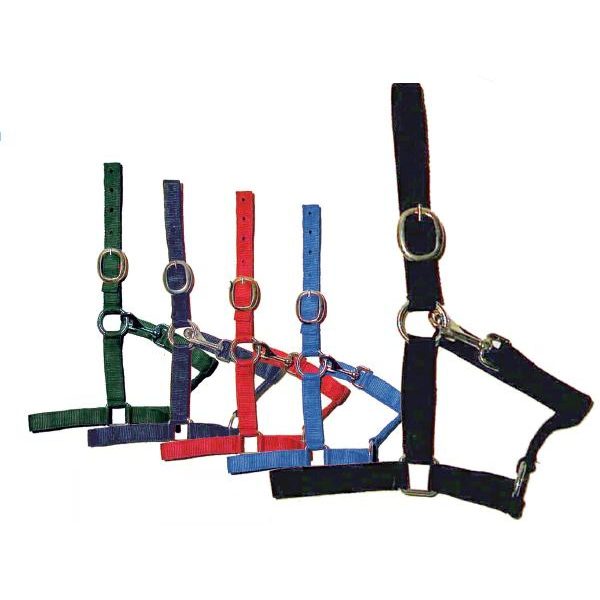 Capezza nylon