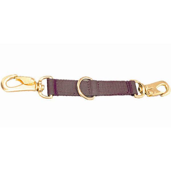 Lunging strap