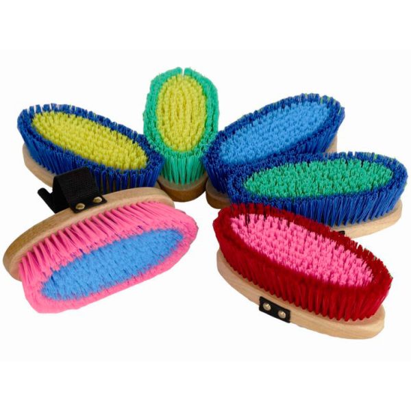 Oval dandy brush